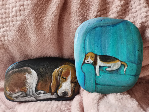 Lucky dogs — foto 1