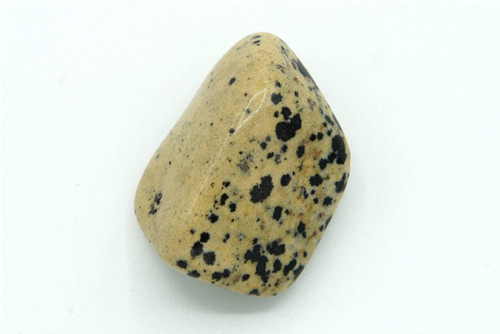 Jaspis dalmatin 3,5 cm — foto 1