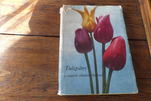 Tulipány a ostatní cibulové květiny, 1967