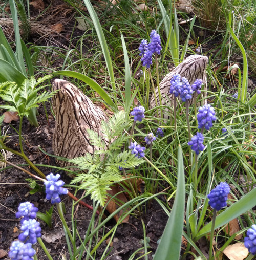 Stromek, těžítko, pyramida — foto 1