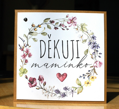 Pro maminku