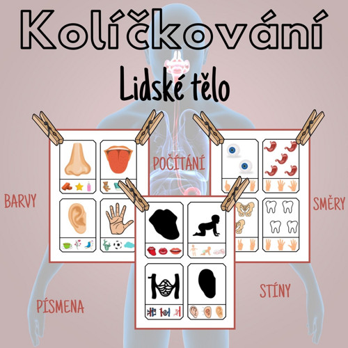 Lidské tělo, kolíčkování