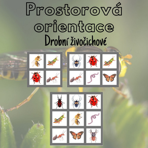 Drobní živočichové, prostorová orientace