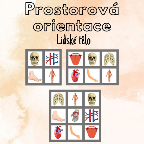 Lidské tělo, prostorová orientace — foto 1
