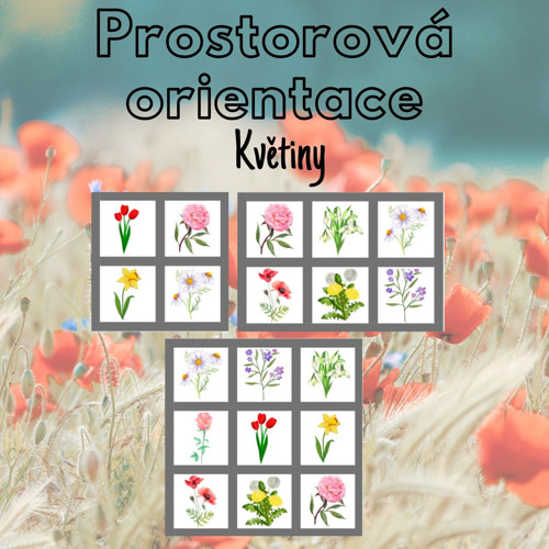 Květiny, prostorová orientace