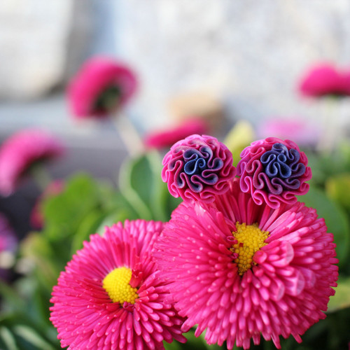 Náušnice magenta — foto 1