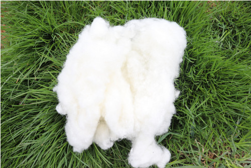 Vlna česaná(mykaná)