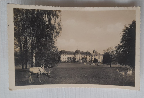 Lány — foto 1