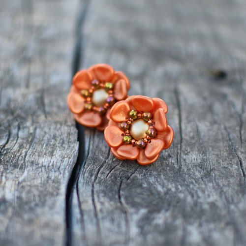 Red Poppy