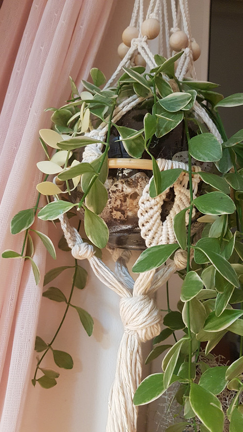 Autorský macrame závěs na květiny