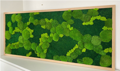 Mechový obraz 160x70cm
