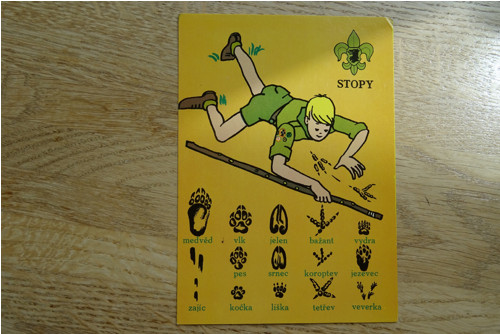 Stopy - pohlednice — foto 1