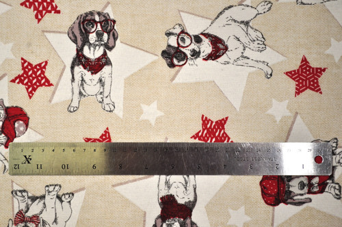 Dog Stars — foto 1