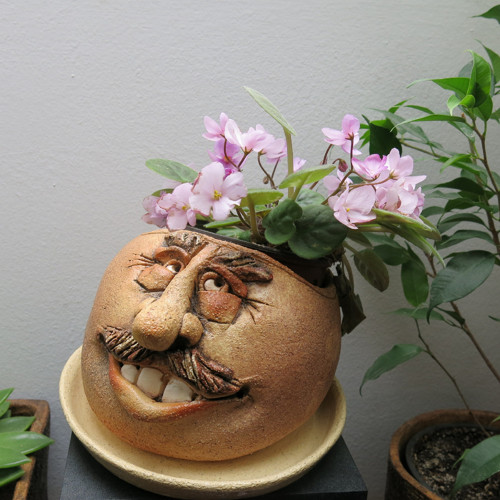 KVĚTNÍK-VALOUN..... — foto 1