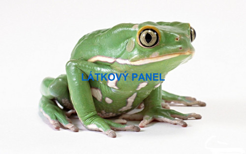Bavlněný panel - varianty velikostí / 11x15 cm