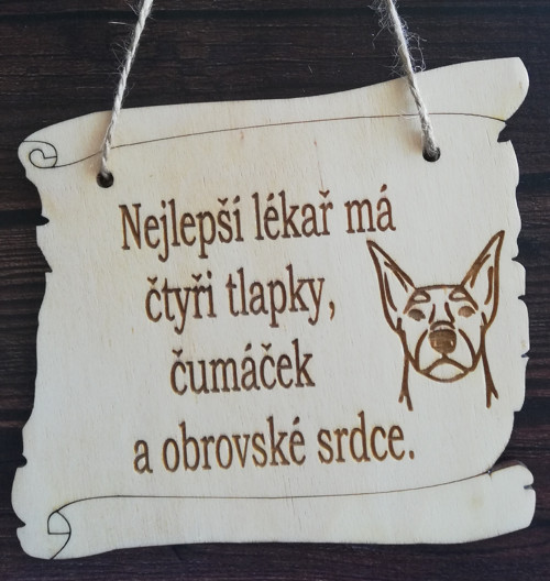 Nejlepší lékař-dobrman