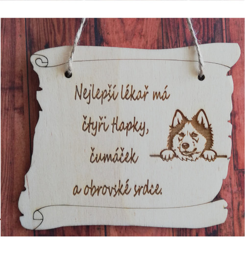 Nejlepší lékař-husky