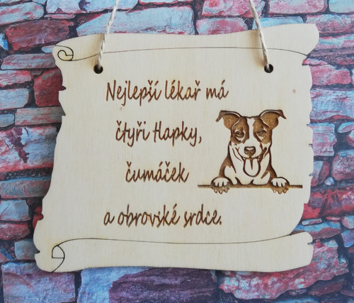 Nejlepší lékař-jack russell