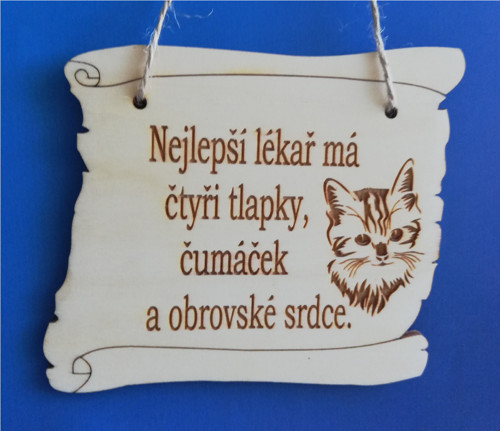 Nejlepší lékař-kočka 3