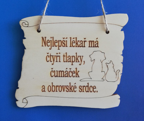 Nejlepší lékař-kočka a pes