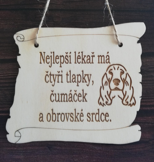 Nejlepší lékař-kokršpaněl