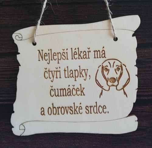 Nejlepší lékař-ohař