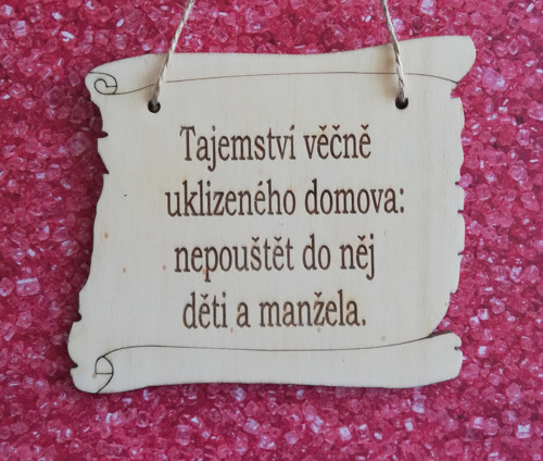 Uklizený domov