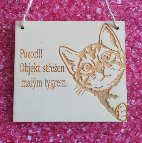 Cedulka-kamerový systém — foto 1