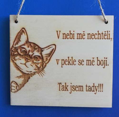 Cedulka-v nebi mě nechtějí-kočka