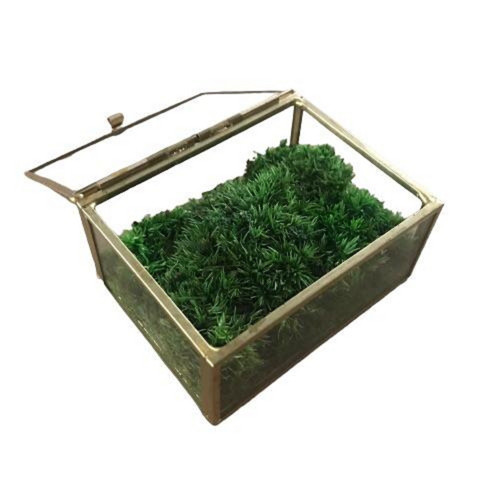 Malá mechová šperkovnice Ball moss