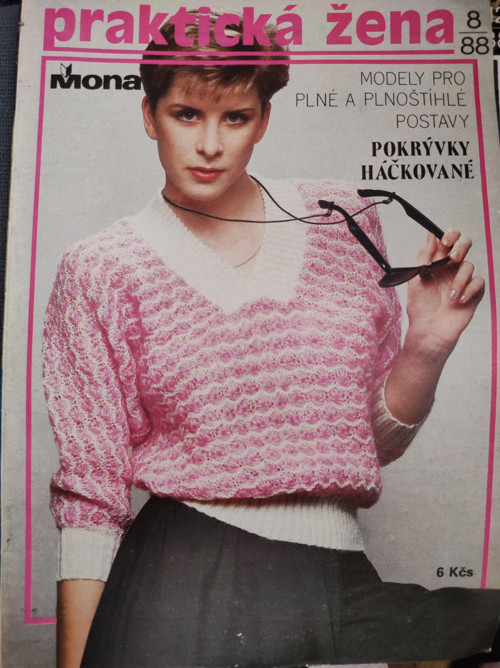 Praktická žena — foto 1