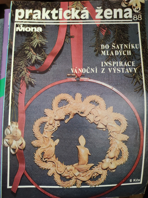 Praktická žena — foto 1