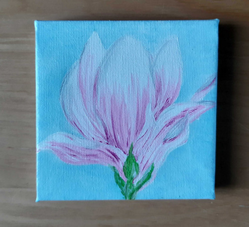 Magnolie