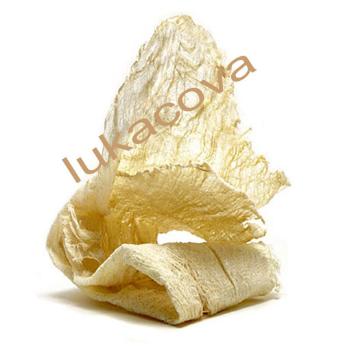 POWERTEX Paperdeco - papírovina, SVĚTLÁ