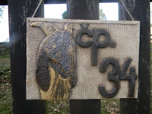 Číslo popisné s kozičkou — foto 1