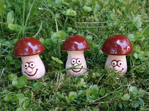 Malý hříbek s úsměvem