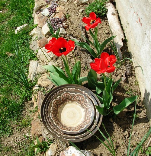 Tuli, tuli, tulipán... — foto 1