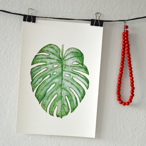 Philodendron - "2"