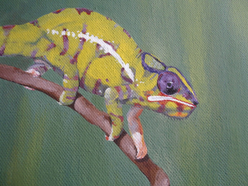 Chameleon