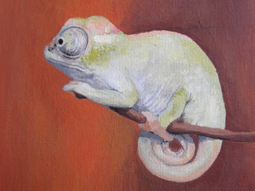 Pár chameleonů — foto 1