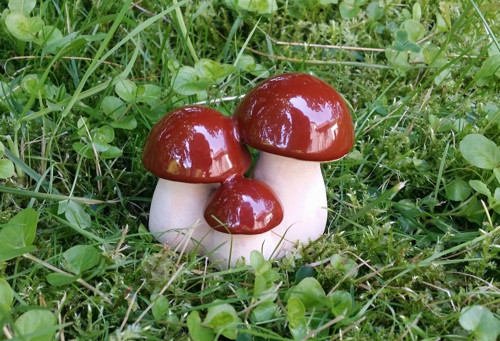 Naše rodinka — foto 1
