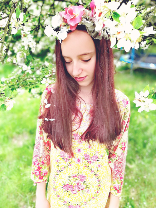 Orchidee — foto 1