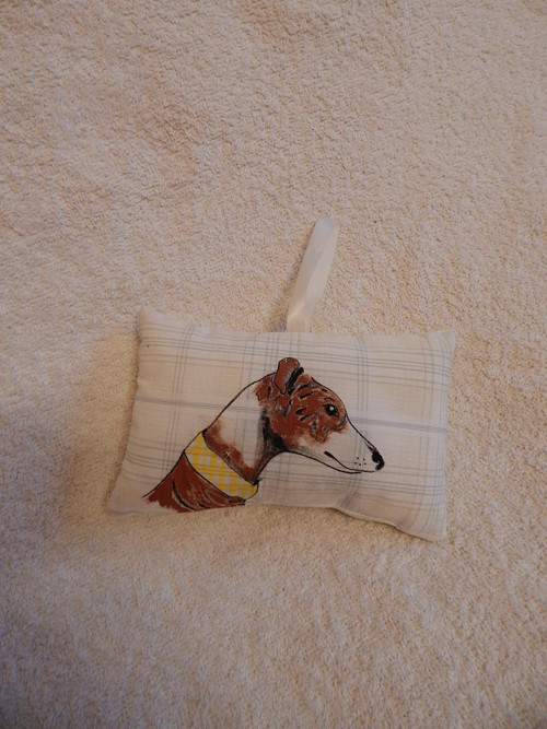 Levanduloví chrti - whippet