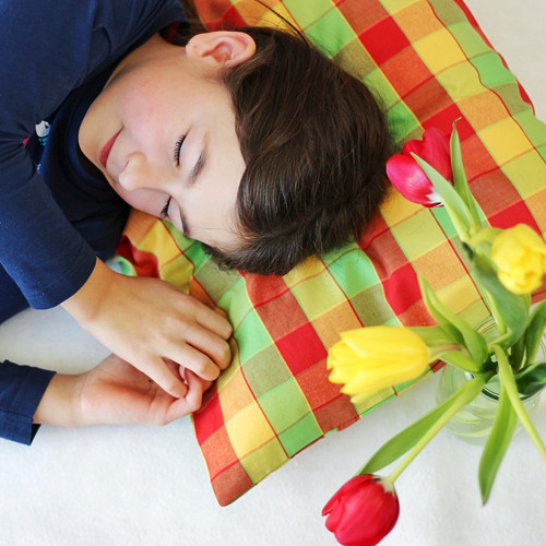 Povlak na polštář, V barvách tulipánů