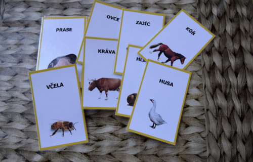 Kartičky ''Zvířata 1" — foto 1