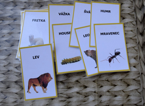 Kartičky ''Zvířata 2" — foto 1