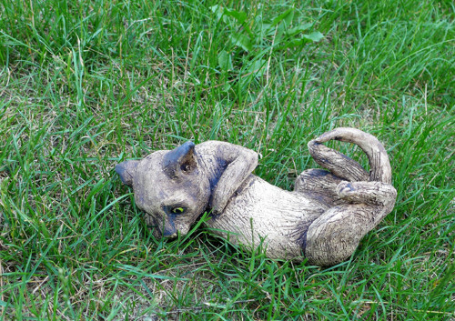 Kočka — foto 1