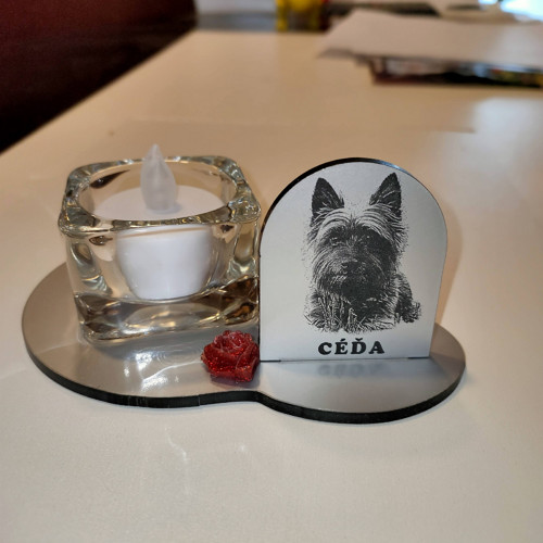 Vzpomínka na mazlíčka — foto 1