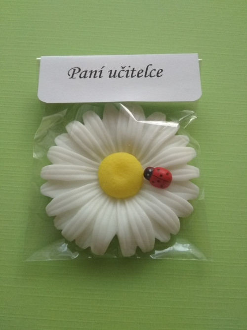 Pro paní učitelku... — foto 1