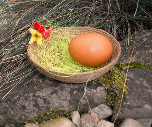 Taštička - košíček - miska pod kokonek, i jinak
